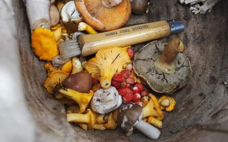 Top Ten Fast Food Places For Gluten-Free