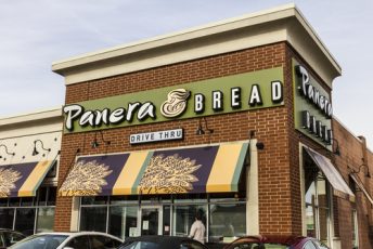 panera specials