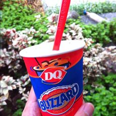 Dairy Queen Blizzard